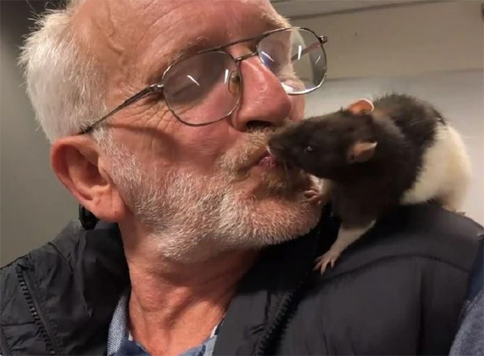 homeless man reunited with pet rat
