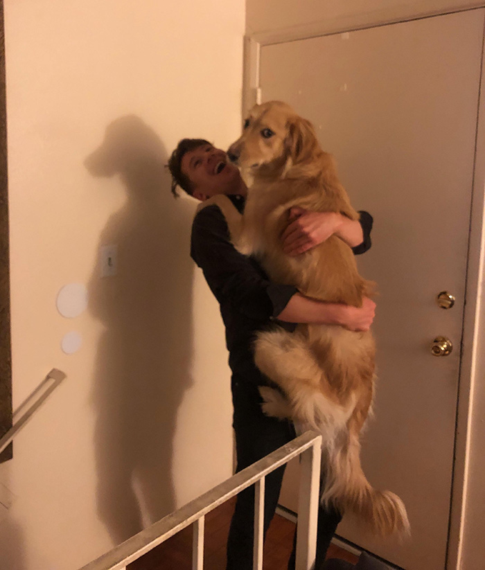 dog long man shadow