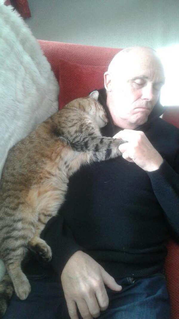 man snuggling with random cat after operation