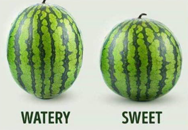 how to pick the perfect watermelon