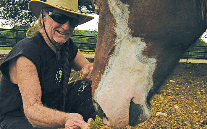 willie nelson rescued 70 horses