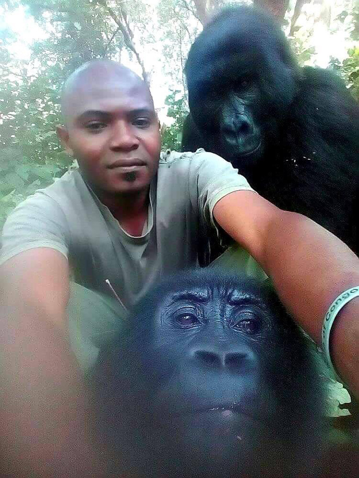 Anti-Poaching Rangers Take Hilarious Photos With The Gorillas They're Protecting Uej9d-humans-guarding-gorillas-2