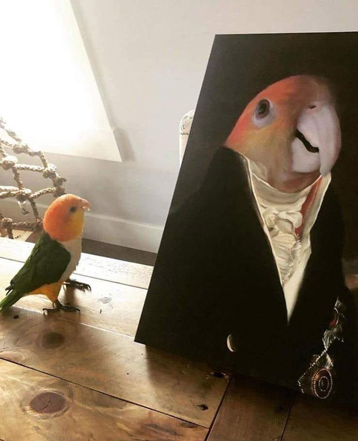 90pyh-birb.jpg