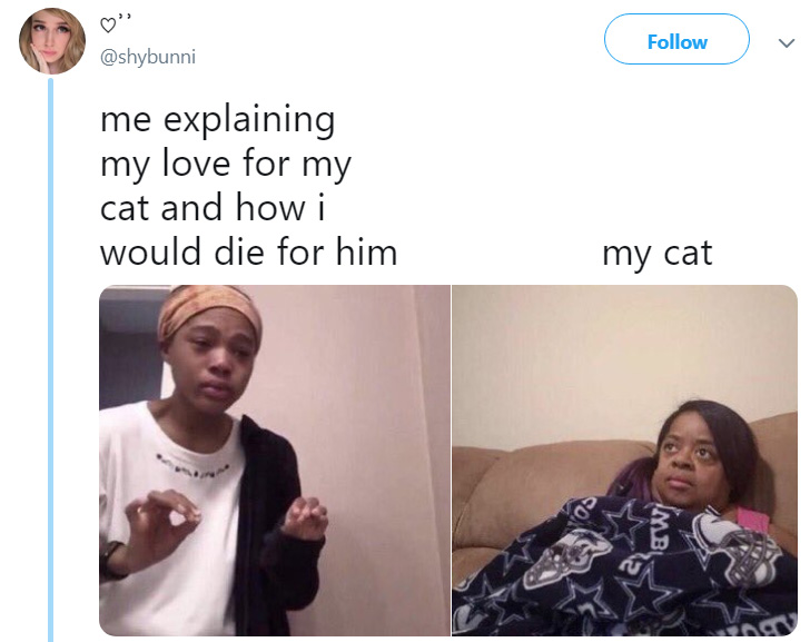These 'Me Explaining' Memes Are Going To Make Your Day
