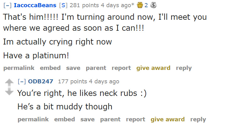 reddit helps trucker find missing cat