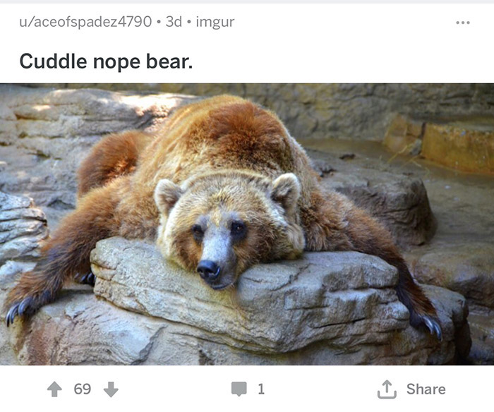 A List Of Proper Animal Names