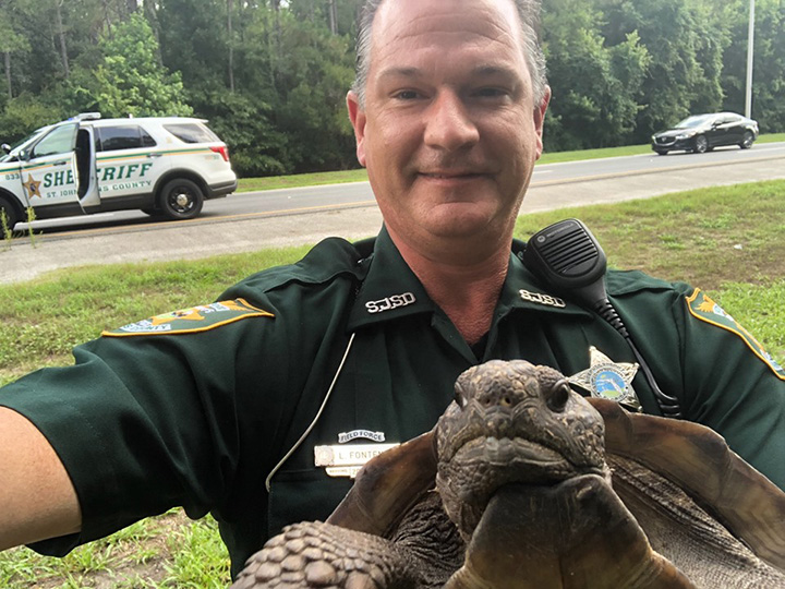 cop turtle selfie