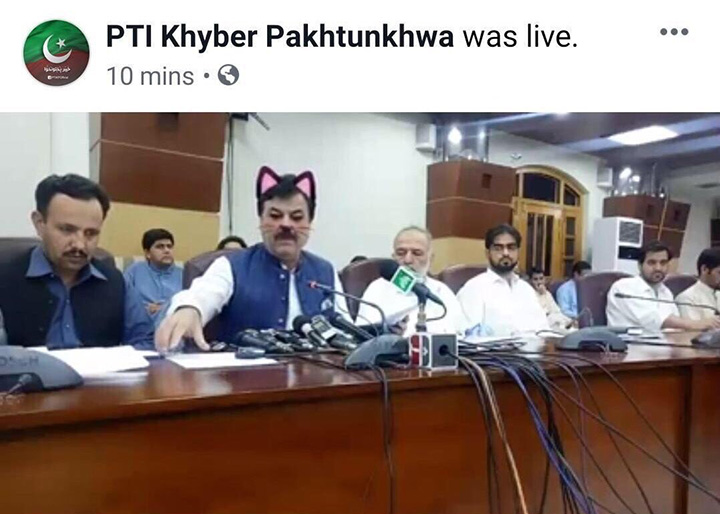 government live stream cat filter