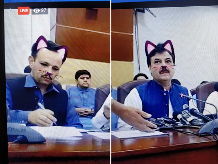 government live stream cat filter
