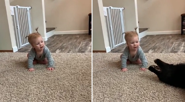 Dog Gives Baby A Sliding Kiss