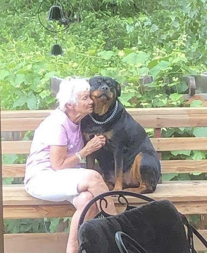 dog and grandmother
