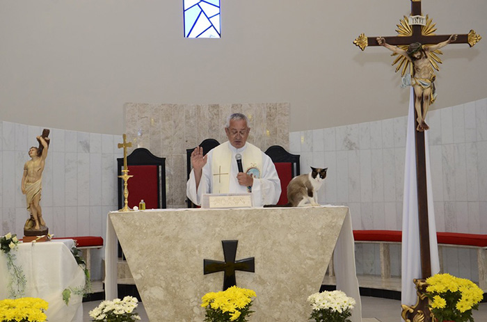 stray cat adopted by church