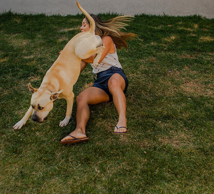 dog photobombs engagement shoot