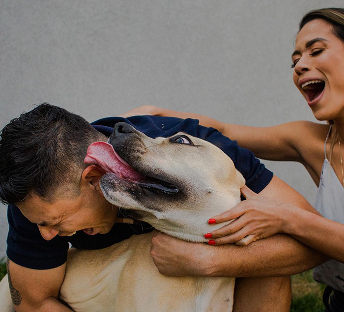 dog photobombs engagement shoot