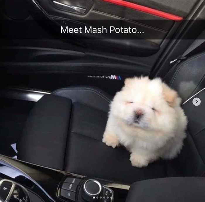 meet mash potato