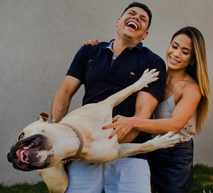 dog photobombs engagement shoot