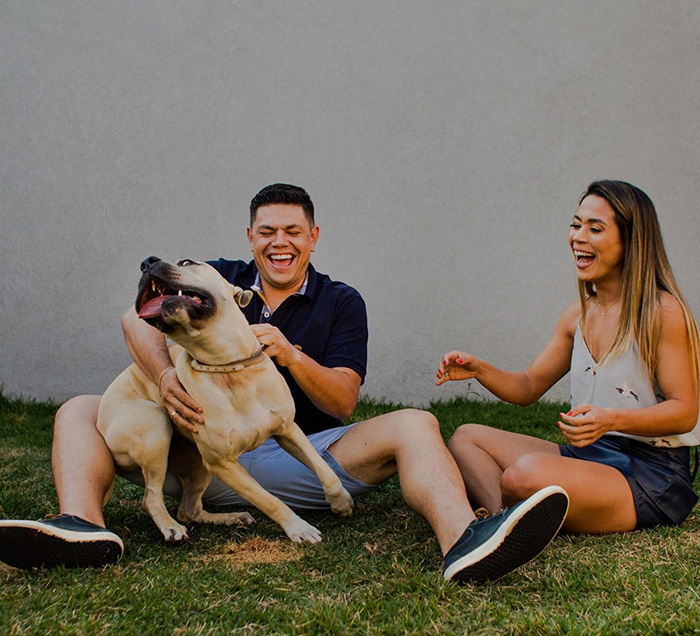 dog photobombs engagement shoot