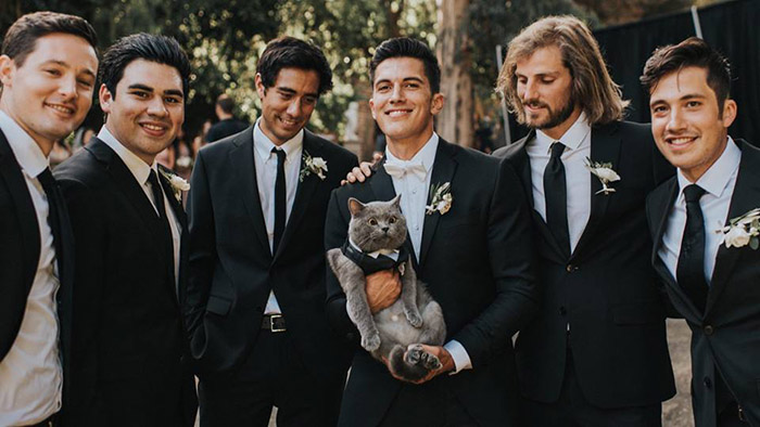 cat best man wedding