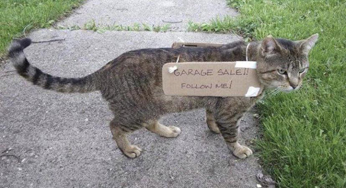 cat sign garage sale follow me