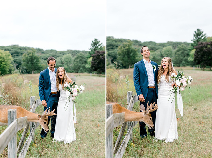 deer photobombs wedding