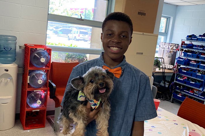 boy makes bow ties for shelter dogs