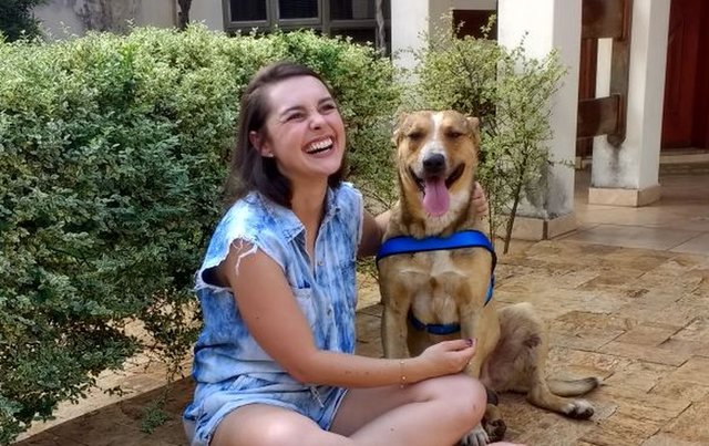 couple adopts stray dog after wedding