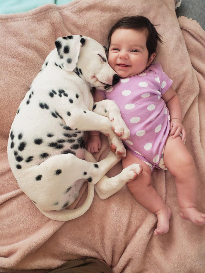 usoky-puppy-and-baby-matching-outfits.jpg