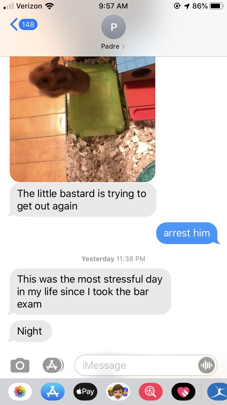 dad loses pet hamster