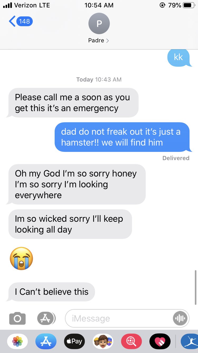 dad loses pet hamster