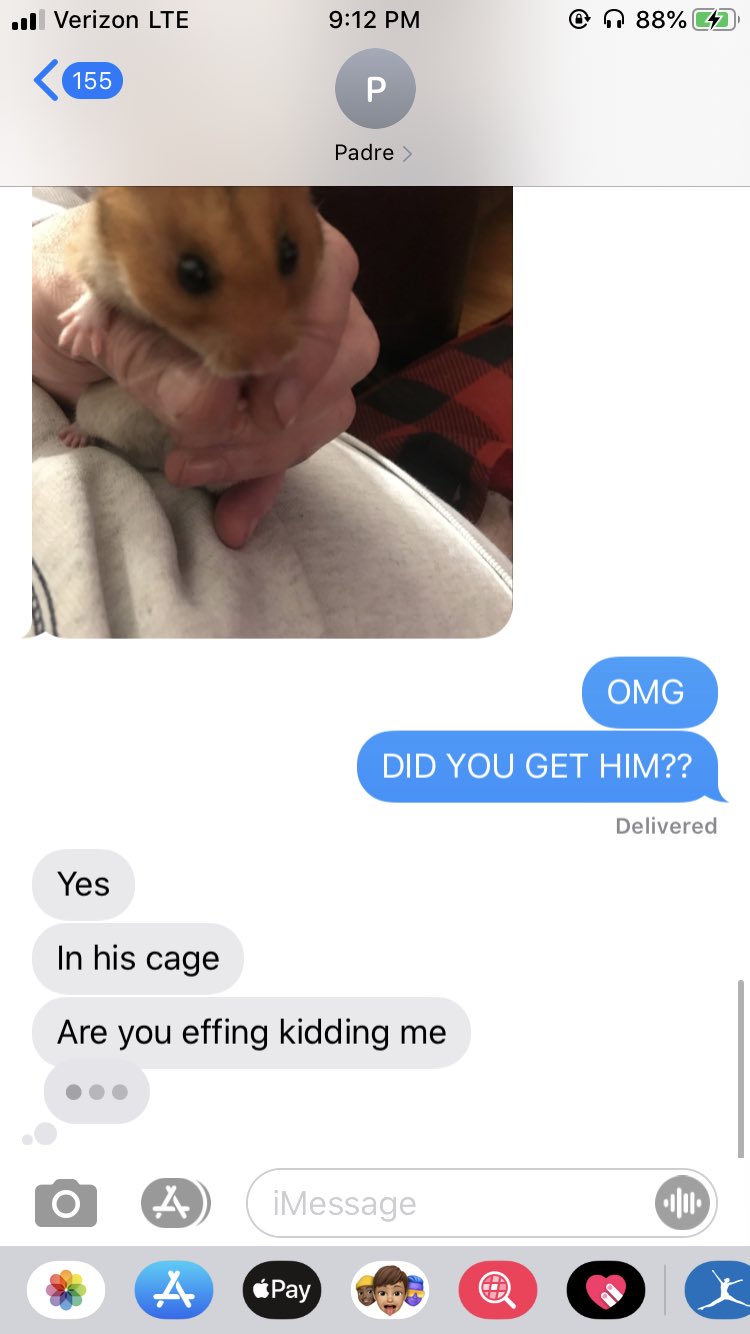 dad loses pet hamster