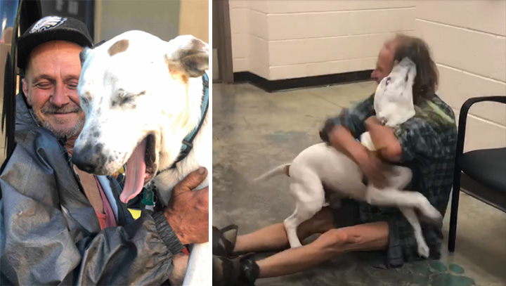 homeless man reunites with lost dog