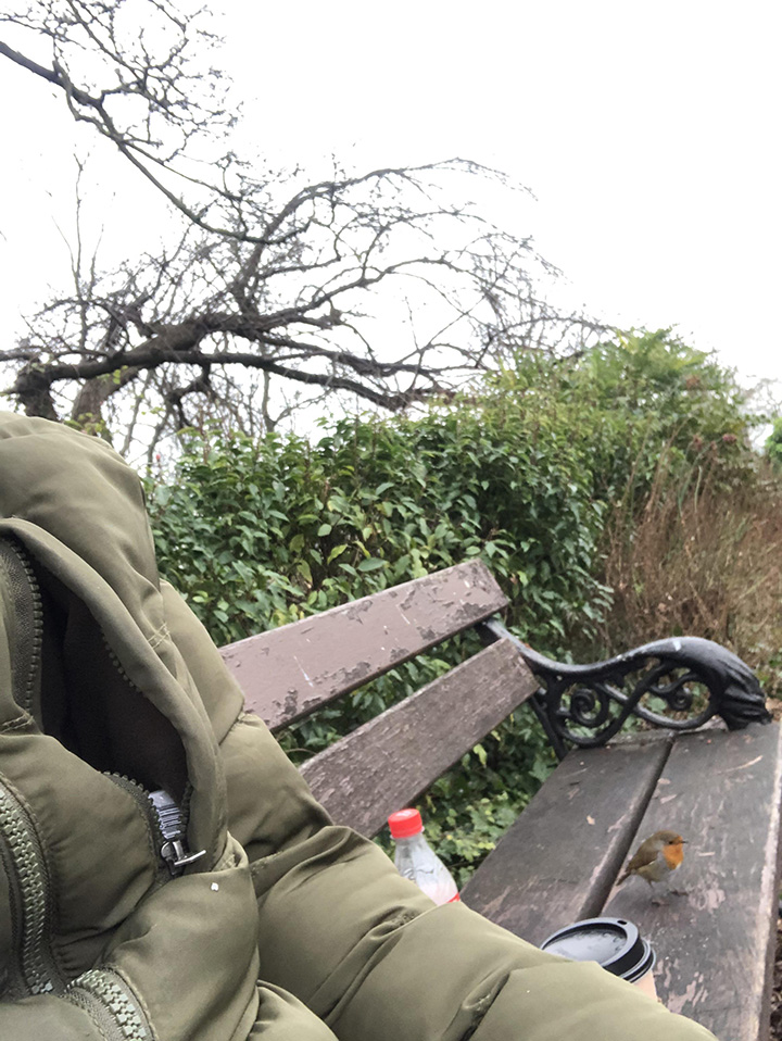 bird eats lunch with man every day at work