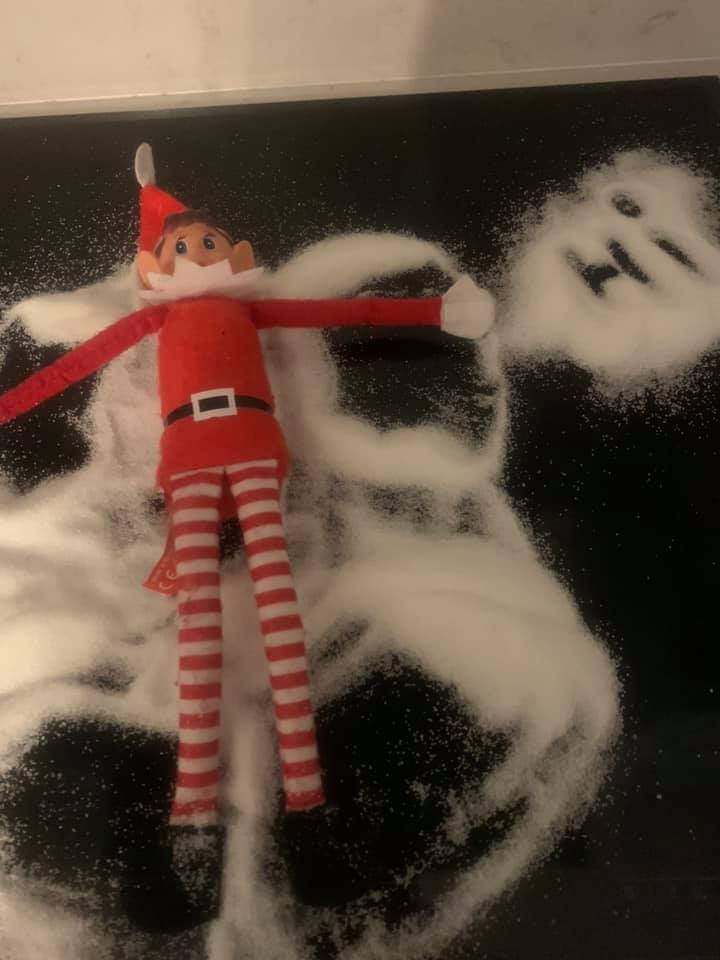 elf on the shelf cat poop