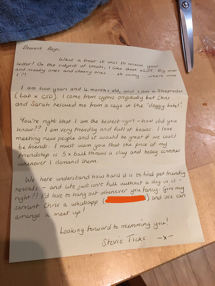 4 roommates get letter from dog