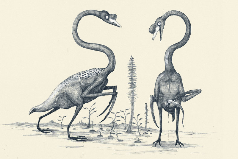 If We Drew Modern Animals The Way We Draw Dinosaurs, Based On Bones Alone