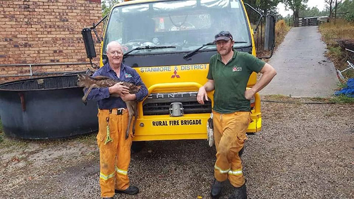 firefighters rescue baby deer from fire