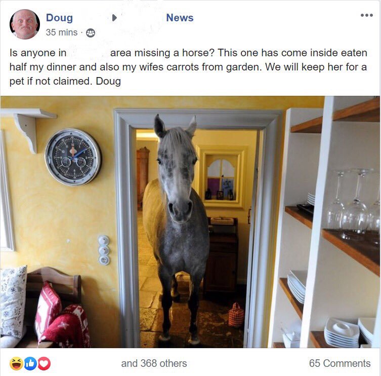 horse walks in random house