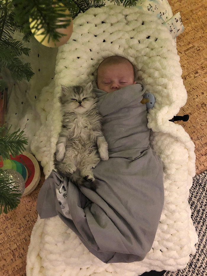 baby and kitten sleeping