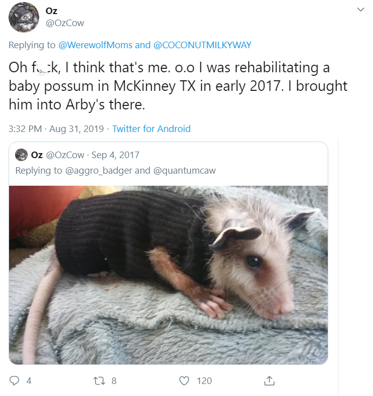 man takes baby opossum to arbys