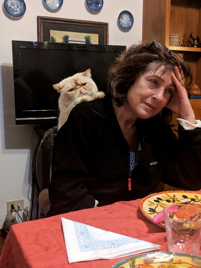 ijw4y-aunt-and-needy-cat.jpg