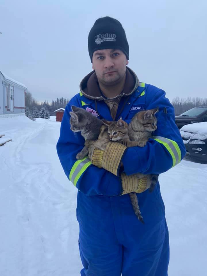 man rescues frozen kittens with coffee