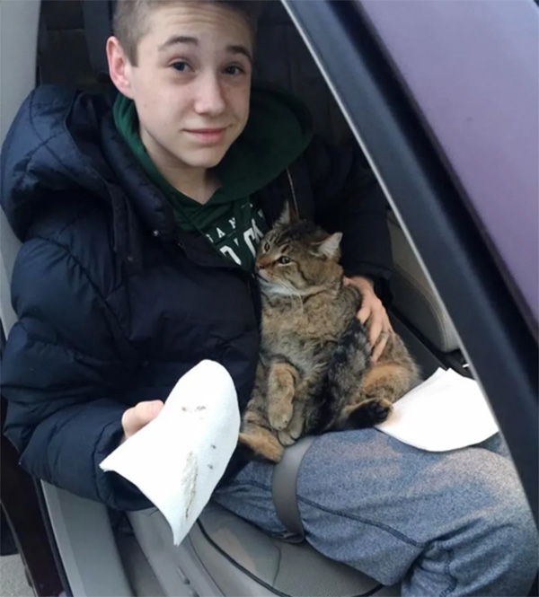 boy rescues cat thrown from car