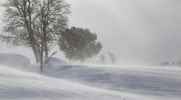 4 kids found alive in alaska blizzard