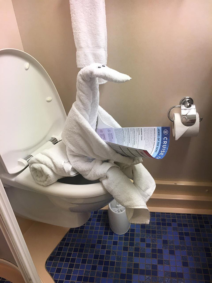 towel on toilet