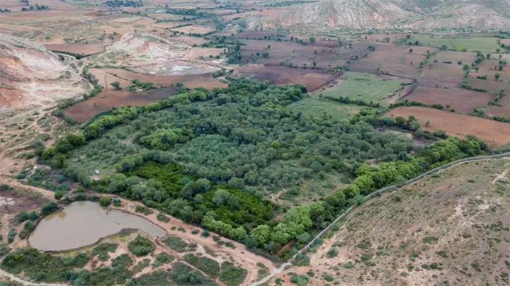 man buys land for tigers India