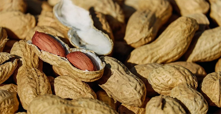 fda peanut allergy