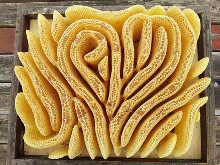 heart shaped bee honeycomb