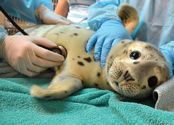 62cd0-the-cutest-patient.jpg
