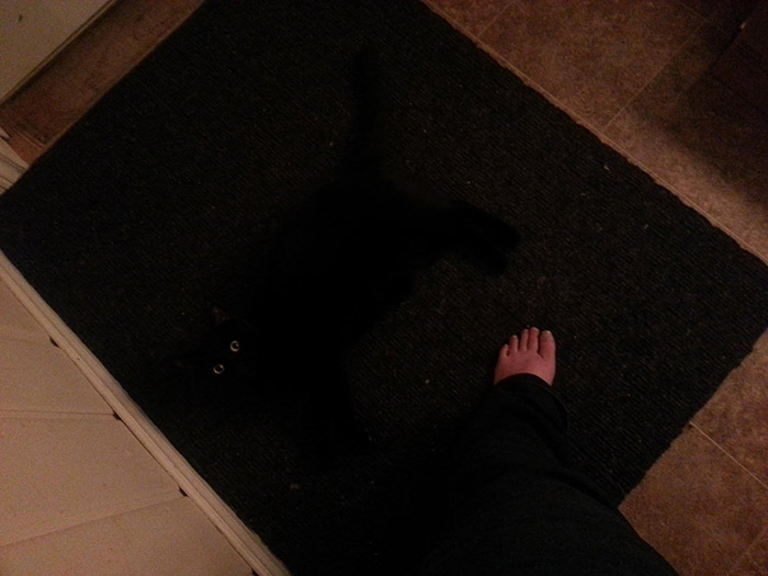 black cat on black mat