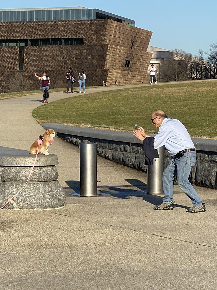 man taking photo of dog